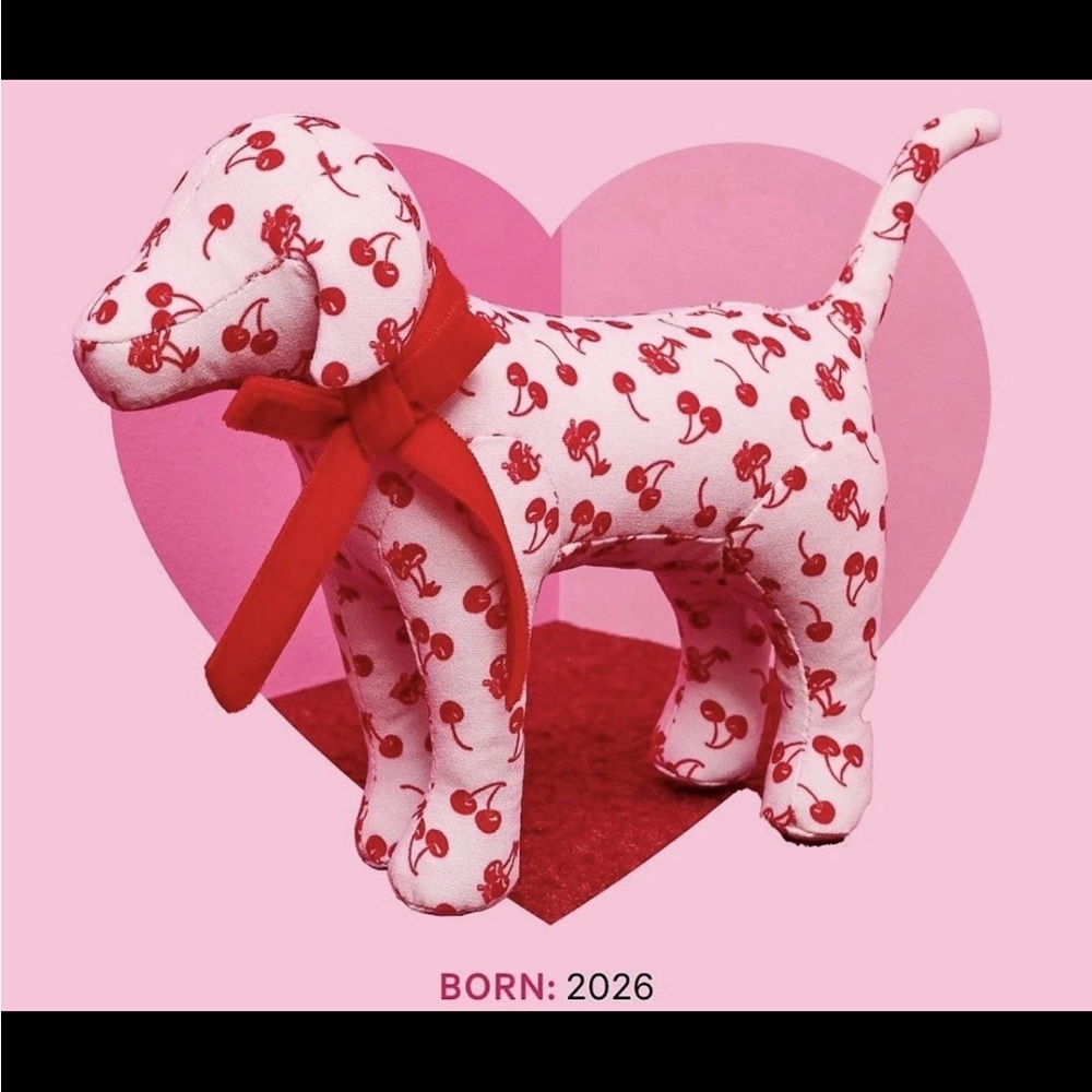 New Victoria’s Secret 2026 PINK Valentines Mini Dog "Galentine's Day" Plush